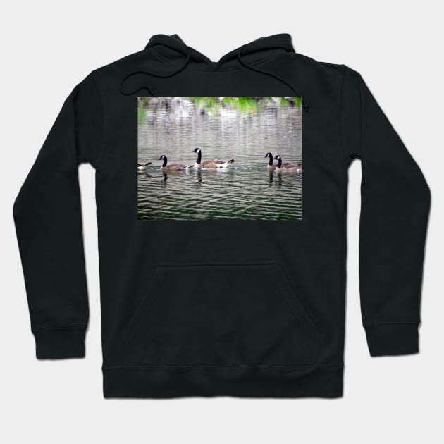 Geese on Peaceful Pond Country Living Photograph Beautiful Photography Art Geese on Lake Hoodie by tamdevo1